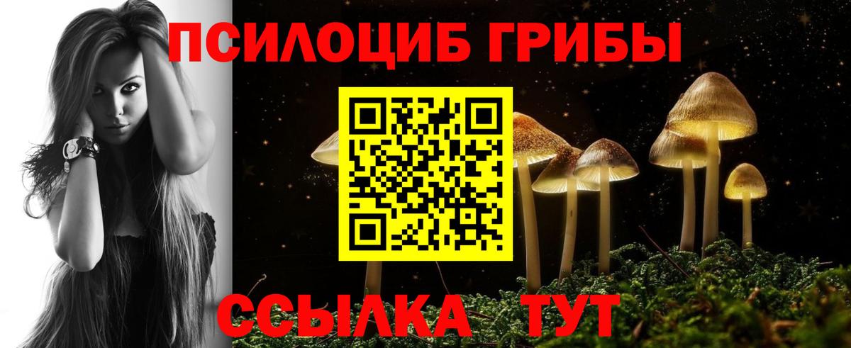 Псилоцибиновые грибы Psilocybe  Вход с VPN  Топки 
